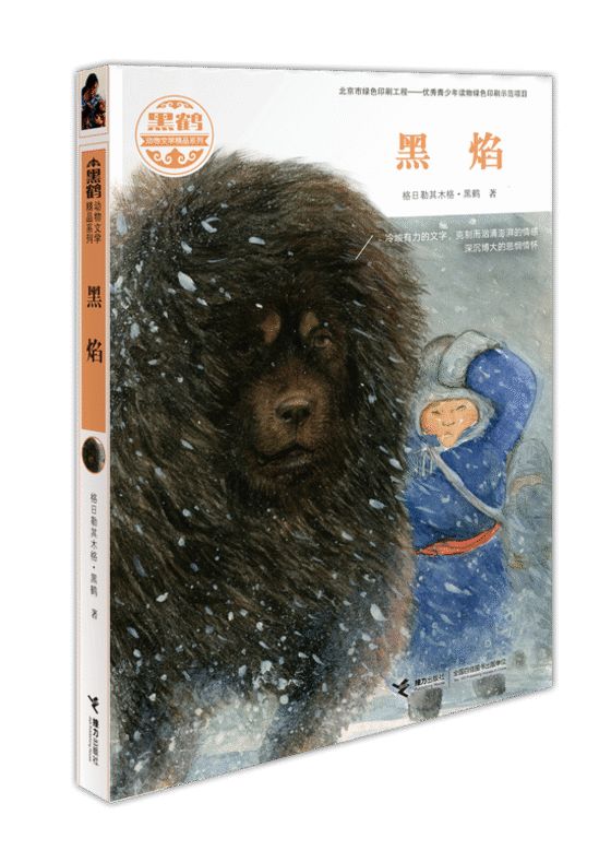 《黑焰》封面
