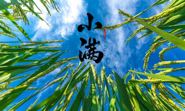 2021年小满领证好吗2