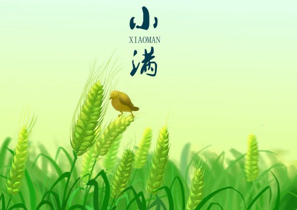 2021年小满是几月几号农历1