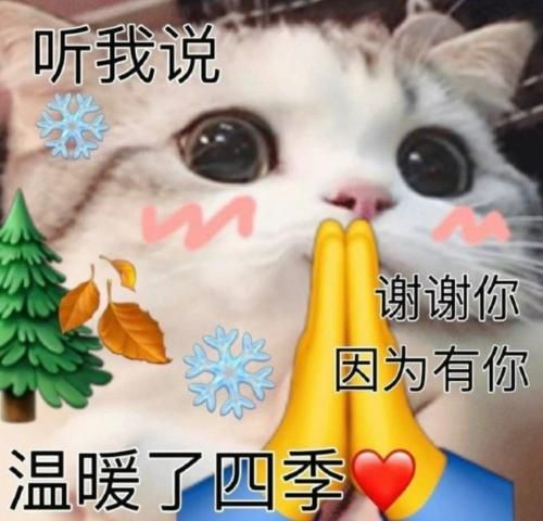 听我说谢谢你是什么梗