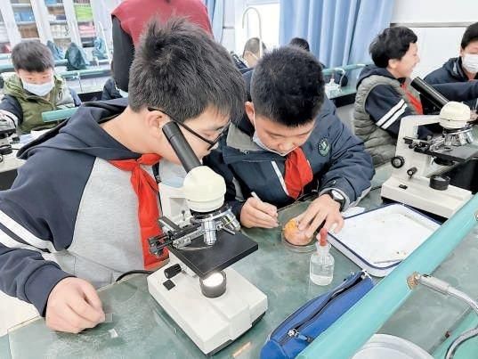 生物课上,学生们在解剖柿子制作玻片。