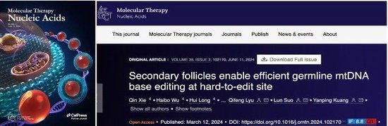 研究成果以封面文章发表于《分子疗法-核酸》