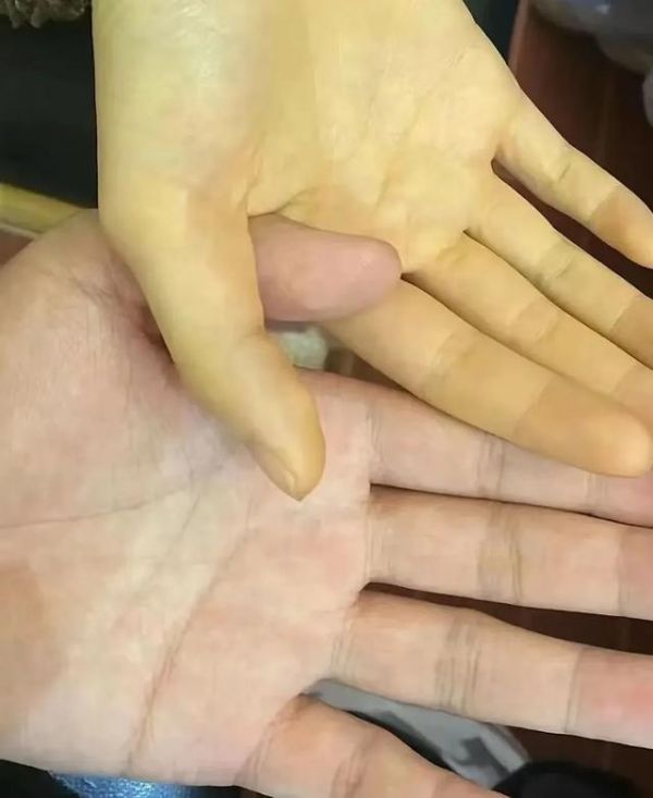 图源:科普中国