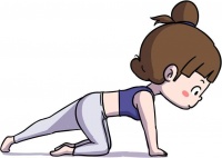 麝香和红花可能会导致女性不孕？