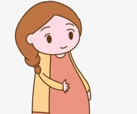 黄体是什么？想要备孕，了解黄体的主要作用是什么呢？