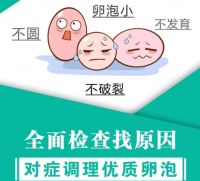 卵泡没发育好怀不上？那什么样的卵泡才是好卵泡？