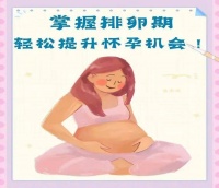 【妇幼科普】科学备孕：迎接新生命的全方位指南