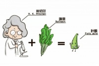 【健康科普】备孕必知：叶酸是什么？需不需要补充？