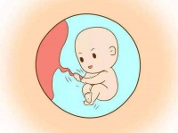 备孕或者怀孕的女性到底能不能养狗呢?