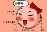 卵泡监测——助力追赶那颗最“优”的卵子