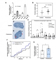 Science重磅！这个药竟能治疗女性不孕