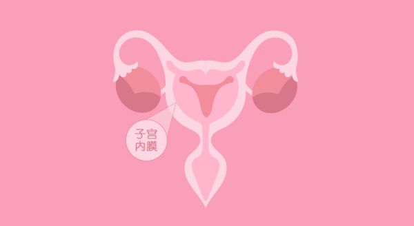 子宫内膜.png