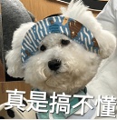 备孕必看！如何避免生出唐氏宝宝？