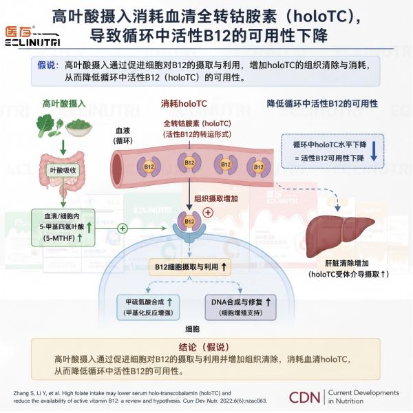 图片-1 (1).png