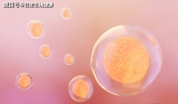 厦门三代试管机构花笙生殖分享：FSH 高卵泡长不好？做好这些高龄也能养出优质卵子！