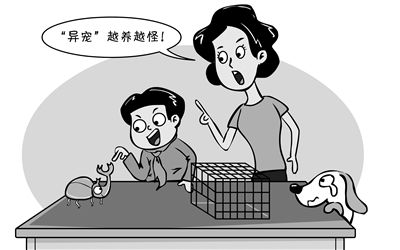 薛红伟 绘
