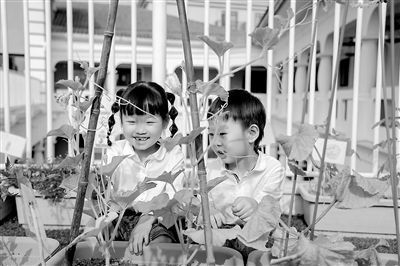 浙江大学幼儿园大华西溪风情分园的孩子们正在观察他们种的葫芦。王雨聪 摄