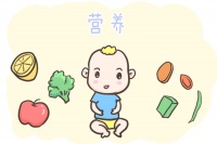 怎样补充宝宝营养?宝妈都选“它”