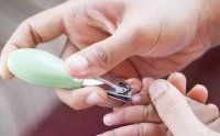 原创 宝宝指甲是剪成方的还是圆的?手脚形状是不同,错了问题大