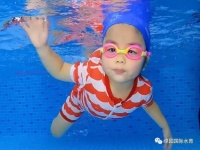 游泳不仅仅是一项运动