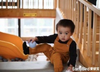 EarlyBird爱彼宝 | 线上学堂 :0-2岁各阶段婴幼儿语言发展特点