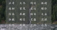 男宝宝名字,参考这篇文章