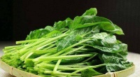 原创 春天来了,宝宝的饮食需要注意些什么?这3点需要记住