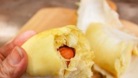 原创 经常吃榴莲对身体有什么影响,孕妇可不可以吃榴莲,早知早受益!