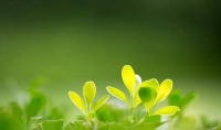 原创 “春捂”来了,孩子这3个地方怕冷,要捂好,孩子少生病,别大意
