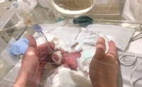 原创 宝宝出生时,体重几斤几两才好?不是8斤8,而是这个数才最健康