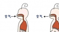 原创 宝宝一直“打嗝”怎么办?可能是这3个原因引起的,宝妈要知道