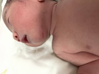 原创 新生儿是怕热还是怕冷?父母需了解