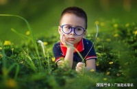 虎宝宝起名改名:优雅而有文采的男孩名字