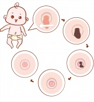 肚脐眼里面藏着哪些秘密?