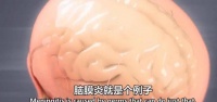 原创 广东省中山一10岁男孩,因雨天玩蜗牛,患上了脑膜脑炎!