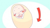 原创 宝宝生病前的这5个征兆,妈妈们要及时发现,宝宝才能少受罪