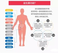 成年人更需要益生菌