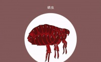 原创 春风袭来,别让螨虫在你和宝宝的身体生根发芽,不单单晒被子