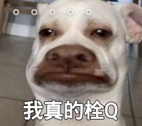 拴q是啥意思