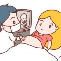 进行试管婴儿之前饮食准备有什么要了解的？