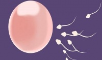 原创 男人35岁后,精子质量可能会慢慢变低,做好这5件事,养好精子!