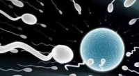 原创             男人若没有这3大“喜好”，恭喜你，你的精子质量还不错！