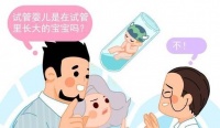 试管婴儿和普通婴儿真的有区别吗?答案令很多人“失望”了