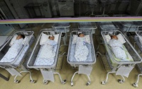 有条件放开“冻卵”、“试管婴儿”,政协委员为大龄未婚女性生育支招