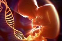 原创 做试管婴儿很轻松?没这回事儿,比自然怀孕艰苦N倍