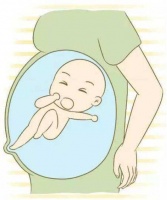 胎停是怎么回事,试管婴儿胚胎移植能好孕吗?