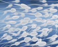 原创 当一个男人关心起他的精子健康,他要怎么做?