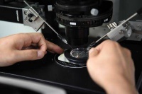 全球男性精子量告急,近50年数量降幅超60%,可能还会继续下降