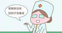 原创 生化妊娠后,下次备孕就更容易怀孕了吗
