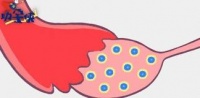 原创 试管婴儿取不到卵,究竟哪个环节出了问题?